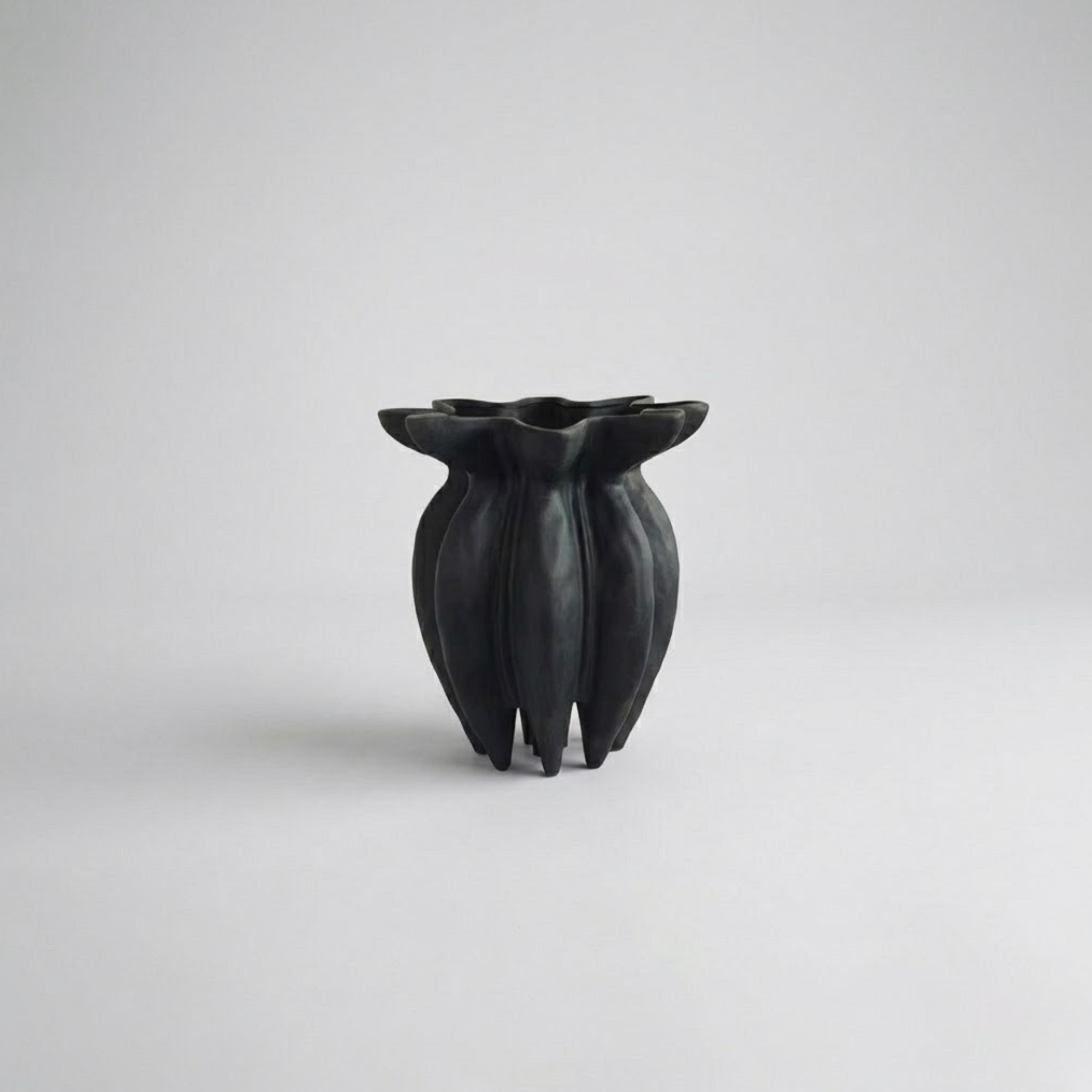 Noctra Form