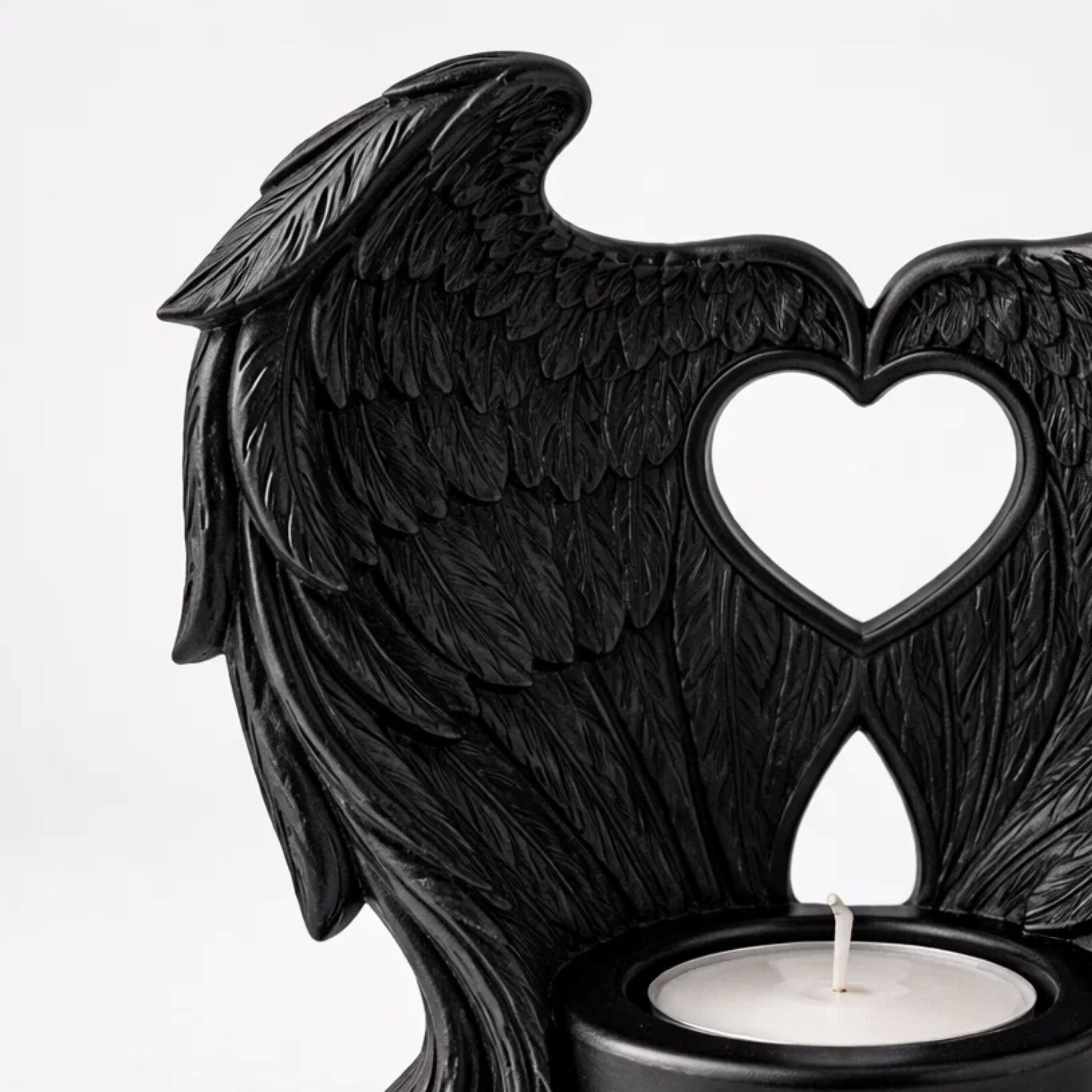 Nocturne Wings
