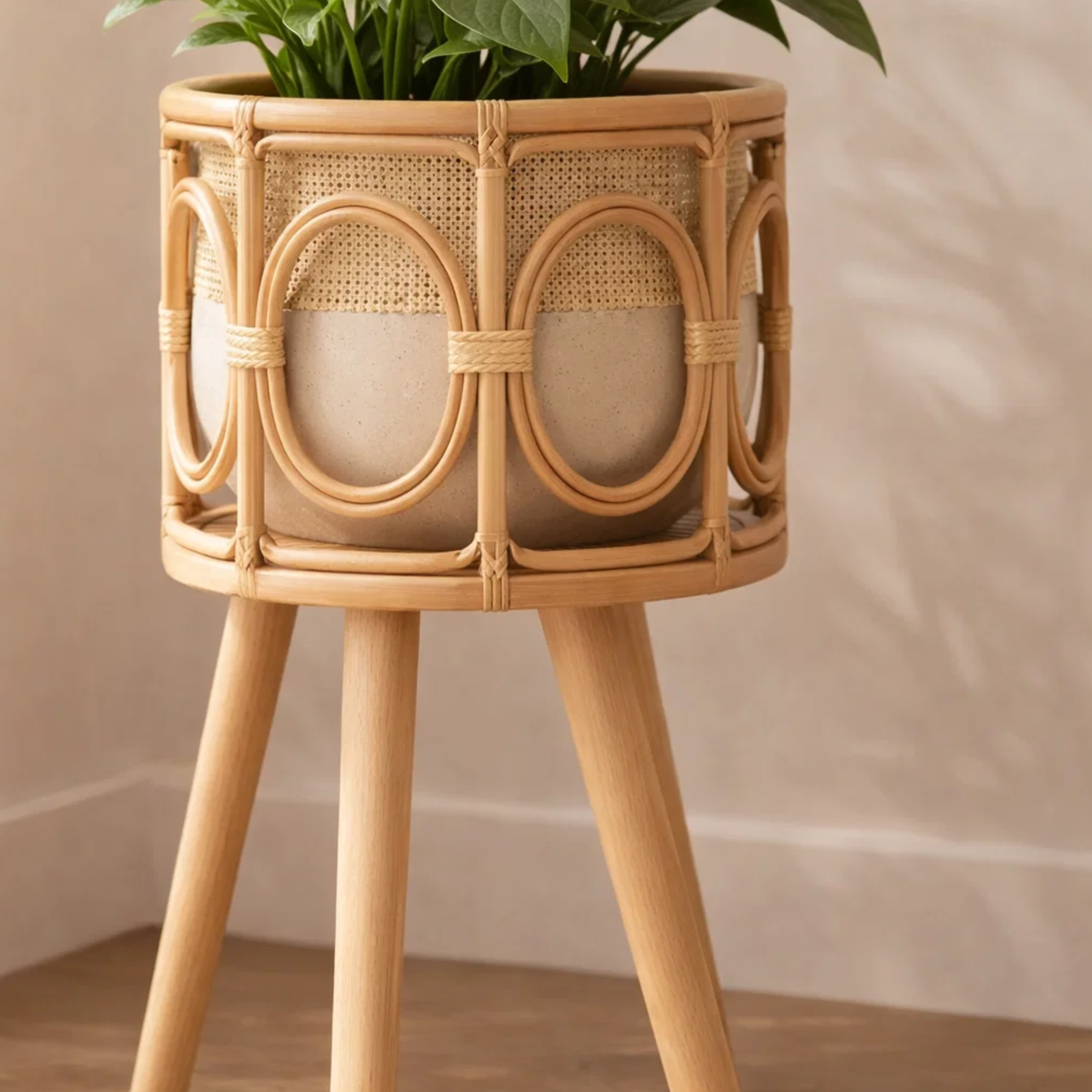 Aura Nest